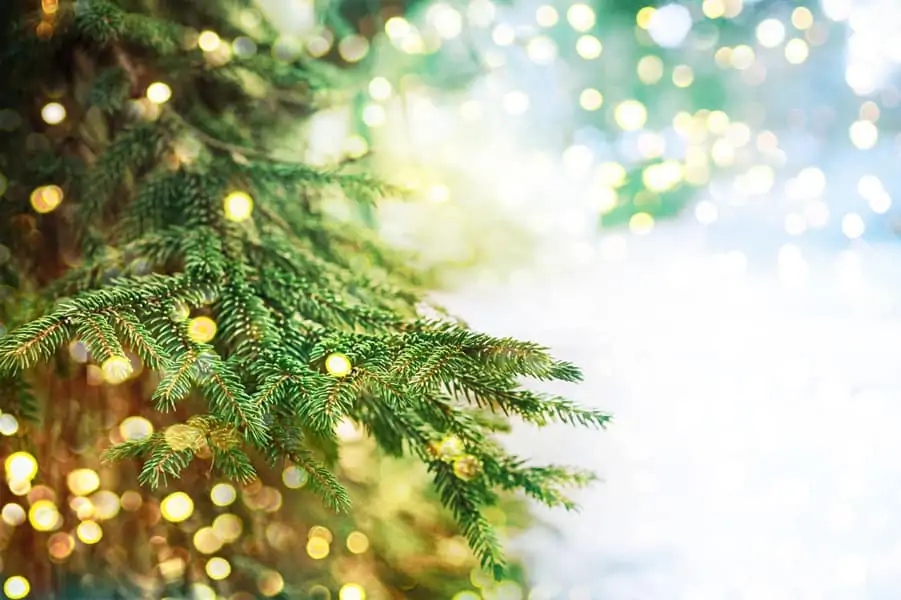Christmas Tree Scent christmas tree