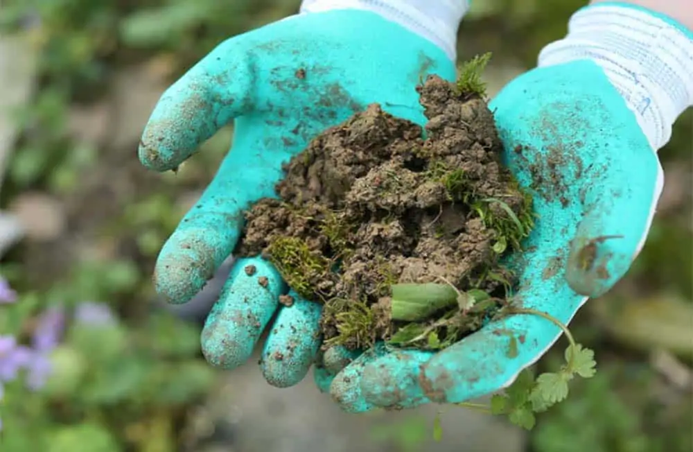 Gardening Gloves